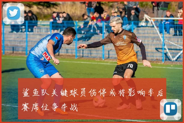 鲨鱼队关键球员伤停或将影响季后赛席位争夺战