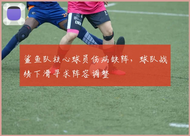 鲨鱼队核心球员伤病缺阵,球队战绩下滑寻求阵容调整