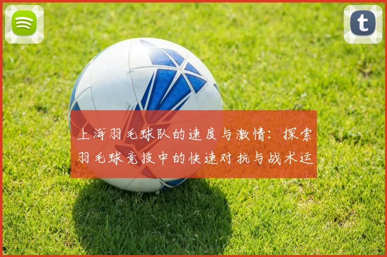 上海羽毛球队的速度与激情:探索羽毛球竞技中的快速对抗与战术运用