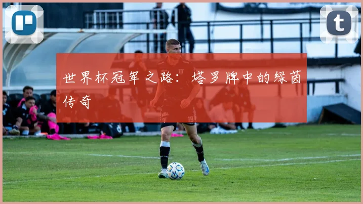世界杯冠军之路:塔罗牌中的绿茵传奇