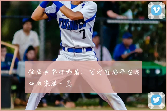 往届世界杯哪看:官方直播平台与回放渠道一览