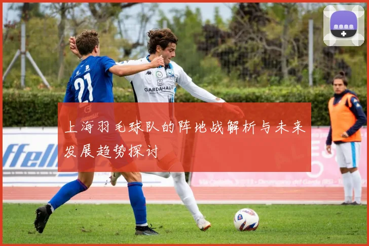 上海羽毛球队的阵地战解析与未来发展趋势探讨