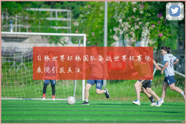 日韩世界杯韩国队备战世界杯赛场表现引发关注