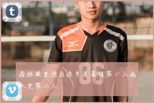 森林狼里德当选年度最佳第六人成队史第二人