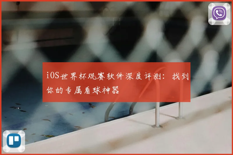 iOS世界杯观赛软件深度评测:找到你的专属看球神器